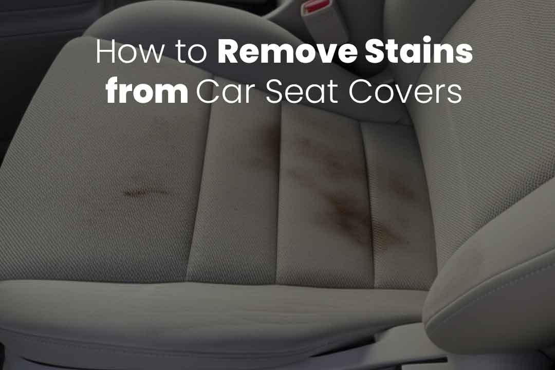 How to Clean Pee from Leather Car Seat: Easy, Effective Tips